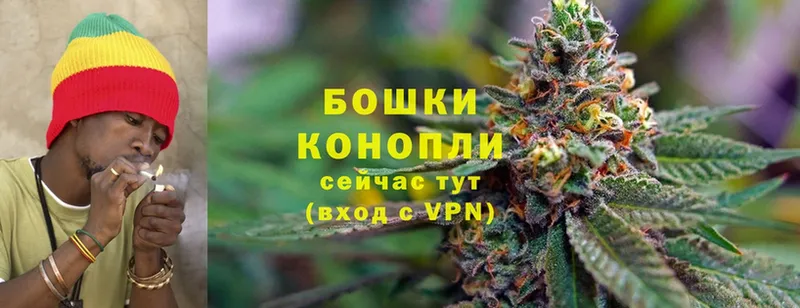 Конопля SATIVA & INDICA  сколько стоит  Воронеж 